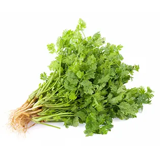 cilantro espaldilla de cerdo con cilantro y nuez maxicarne